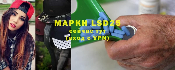 apvp Каменка