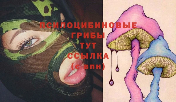кокс Каменногорск