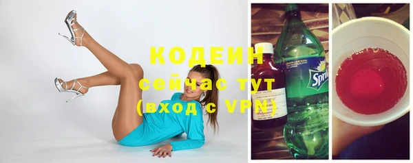 apvp Каменка