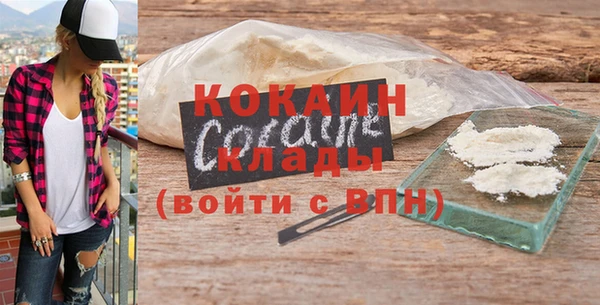 apvp Каменка