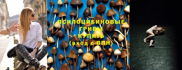 apvp Каменка
